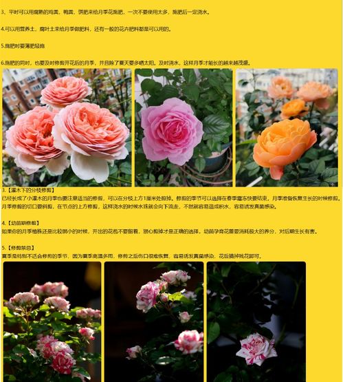 绿色种植，金色收获 记花卉协会劳动教育精品课堂圆满举办