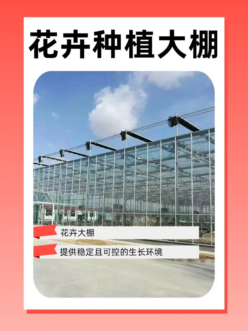 全自动化智能温室种植花卉,让美
