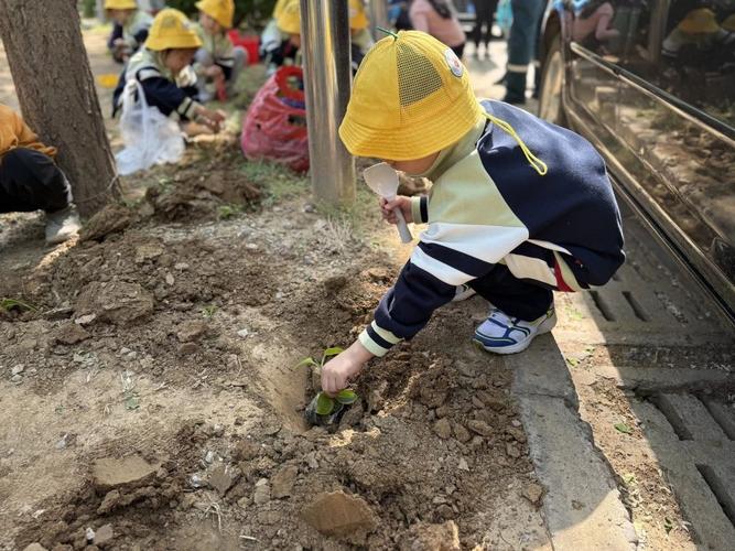 劳动播种希望 青春点亮繁花 平谷区迎宾花园社区花卉种植活动